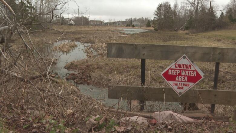 Moore's Pond is mostly drained already, in anctipation of dredging this summer. Heavy siltation over the years has reduced its depth.