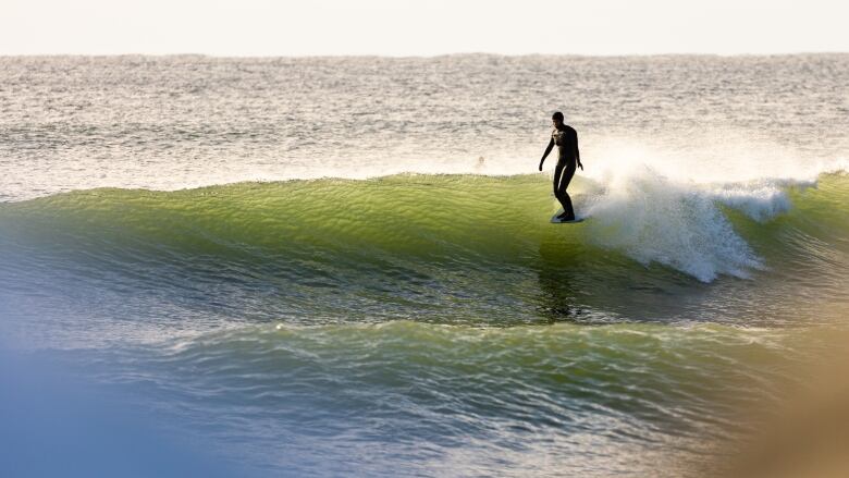 A woman in a black wetsuit stands up on a surf board riding a wave.