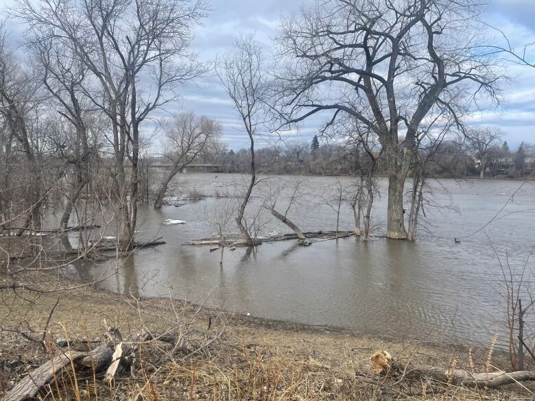 High water levels are shown on the banks of a river.