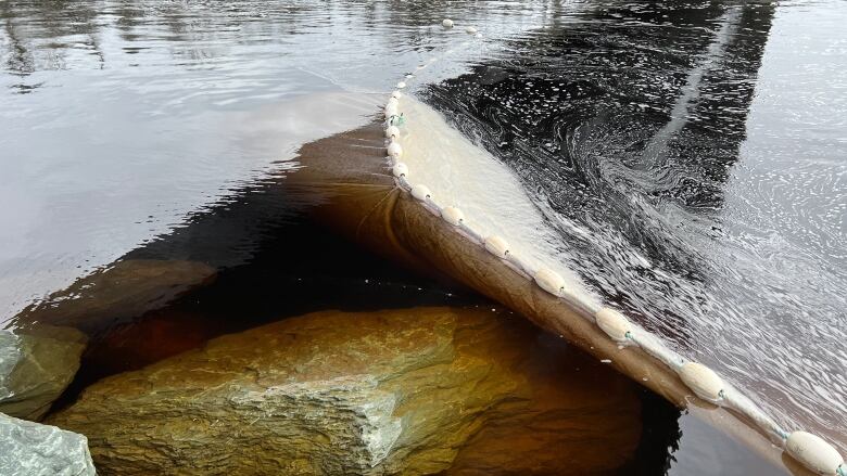 A net in the Liscomb River this week. 