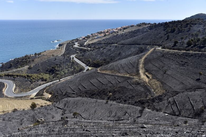 An aerial view of a scorched, seaside landscape. 