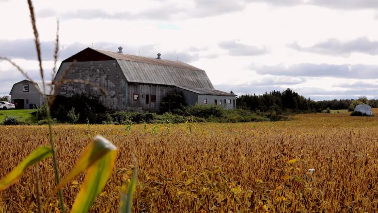 Field barn