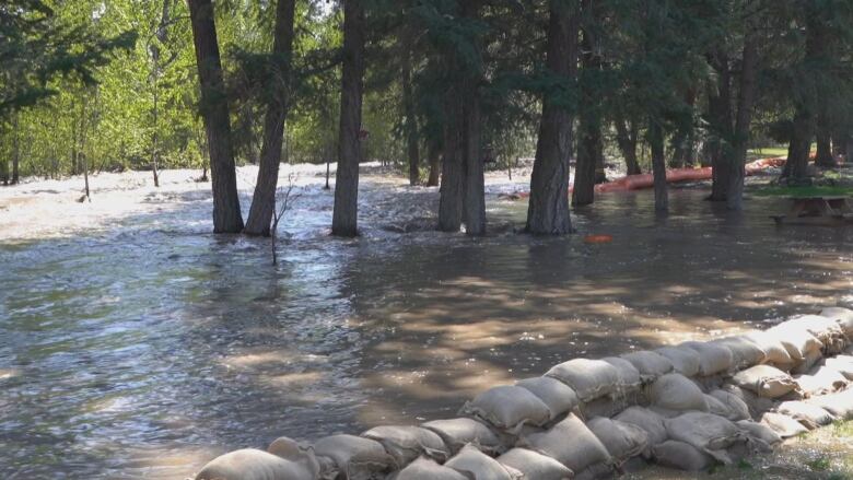 A wooded green area is seen with pooled floodwaters.