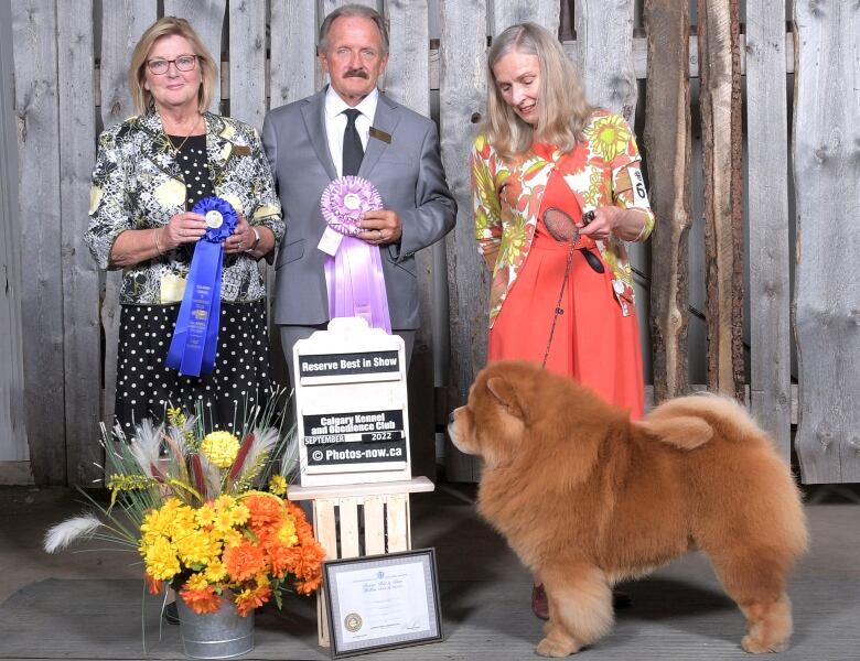 This won't be Mars first dog show rodeo. His owner, Gail Forsythe, right, says Mars has a perfect disposition for showing and he seems to enjoy the process.