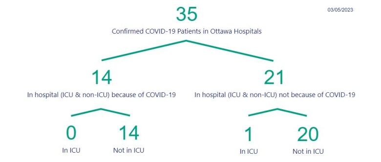 A chart showing the number of people in Ottawa hospitals with COVID.