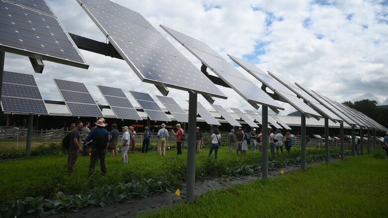 solar panels on farm