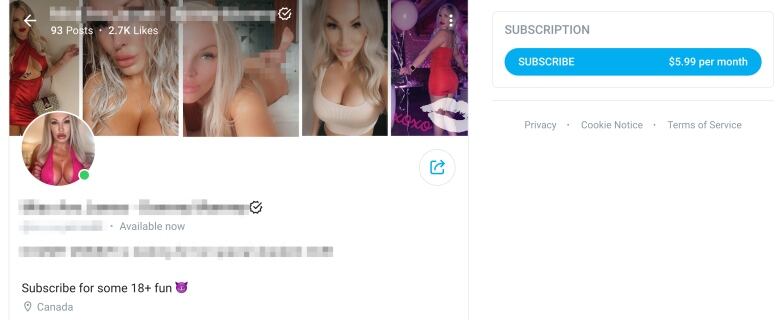 An OnlyFans account page with information blurred.