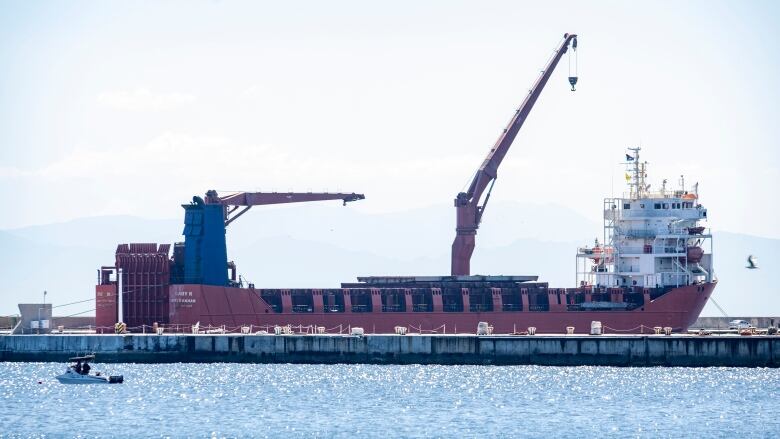 A cargo ship is shown from a distance on a body of water.