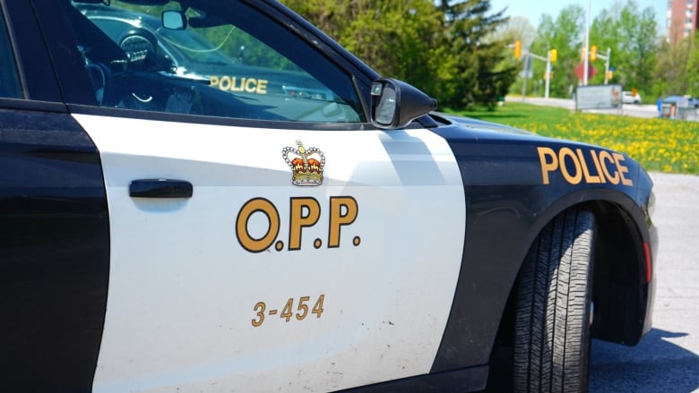 A close-up of a police car on a sunny day.