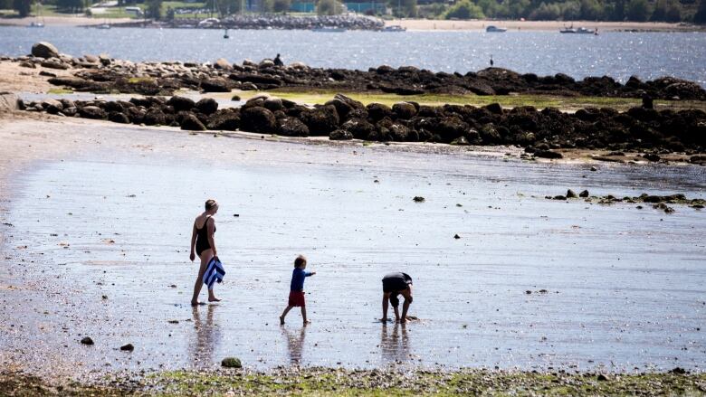 People walk in the shallow waters of tidal flats at Vancouver's Second Beach. 