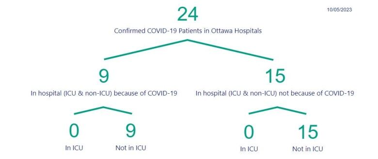 A chart showing the number of people in Ottawa hospitals with COVID.