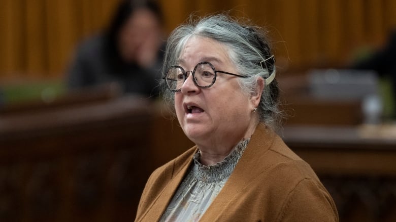 A woman in glasses and a brown blazer stands in the House of Commons.