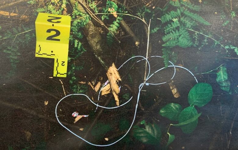 An evidence marker is shown next to a white cord in the woods.