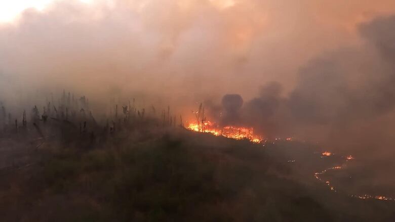 A wildfire casts a red pall reflected by clouds of smoke rising over a vast forest.