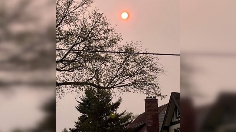 A hazy sky turns the sun a blazing red while the sky around it is light pink.