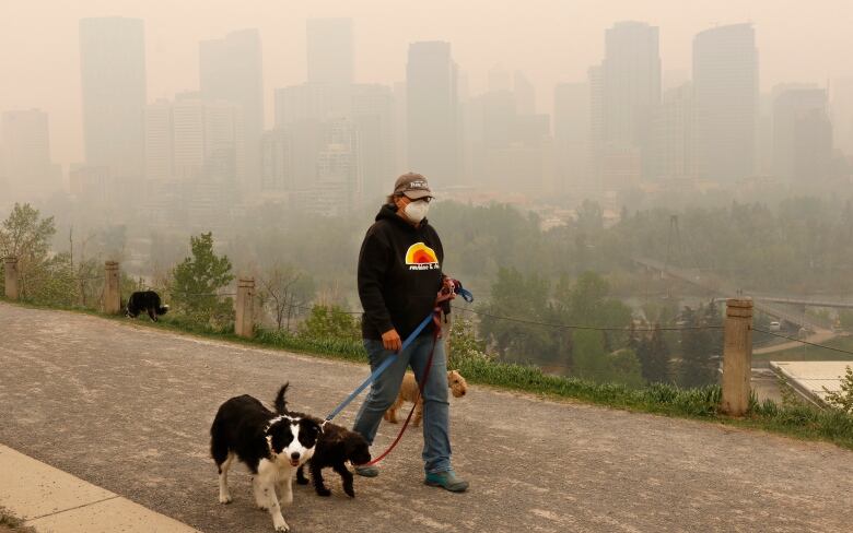 A person walking three dogs on leashes with a haze blanketing downtown Calgary in the background.