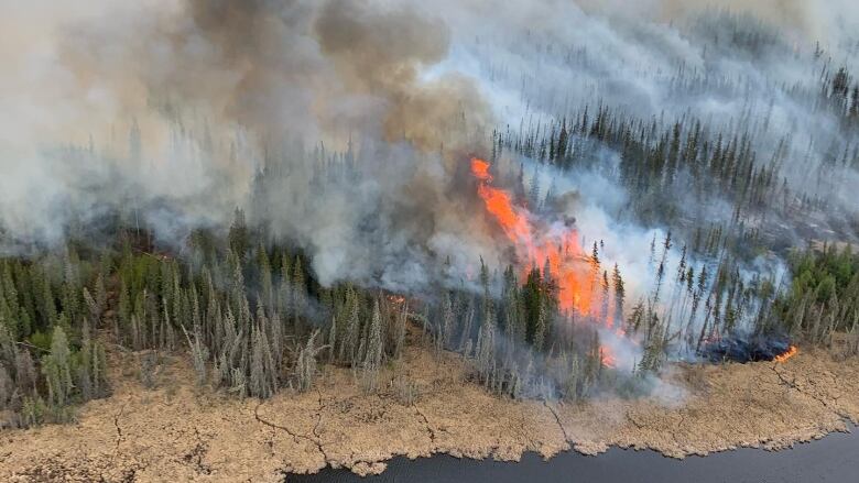 A wildfire burning in forests by a river, taken from the air.