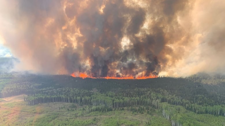 A fire burns above a forest, smoke fills the sky.