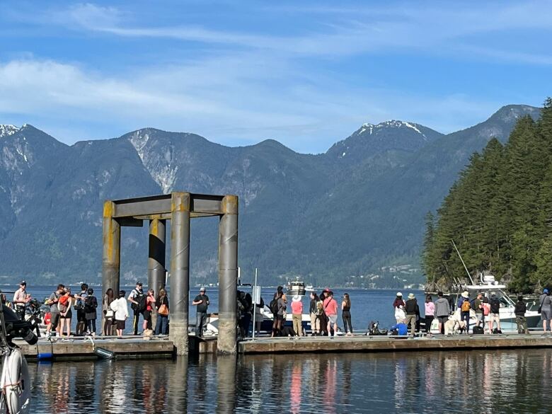 A line of people on a dock.