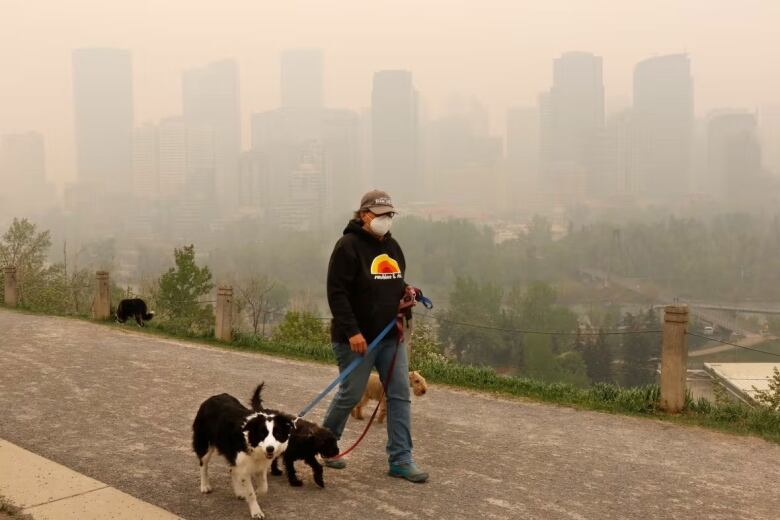 A dog owner in a mask walks his pets amid wildfire smoke.