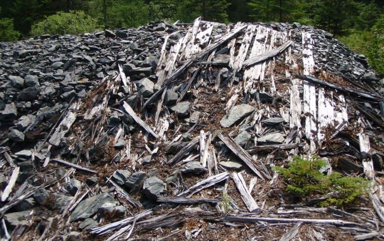 A large heap of wood and rocks sits in an open area near a forest.