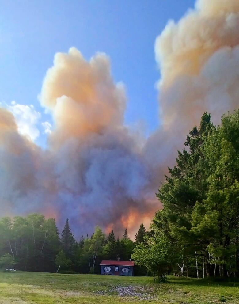 Flames and white smoke billow high in the air above a bungalow, surrounded by trees.