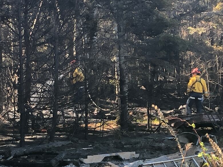 A wooded area with two firefighters. One, who is partially shrouded by trees, is spraying a hose.