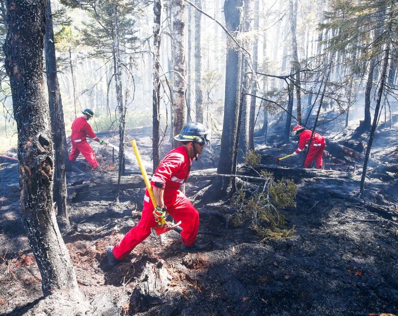 Three firefighters in the burnt out woods.