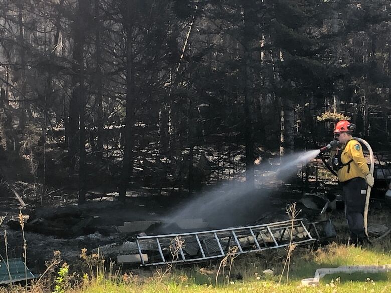 A firefighter surrounded by blacked woods sprays water from a hose. .