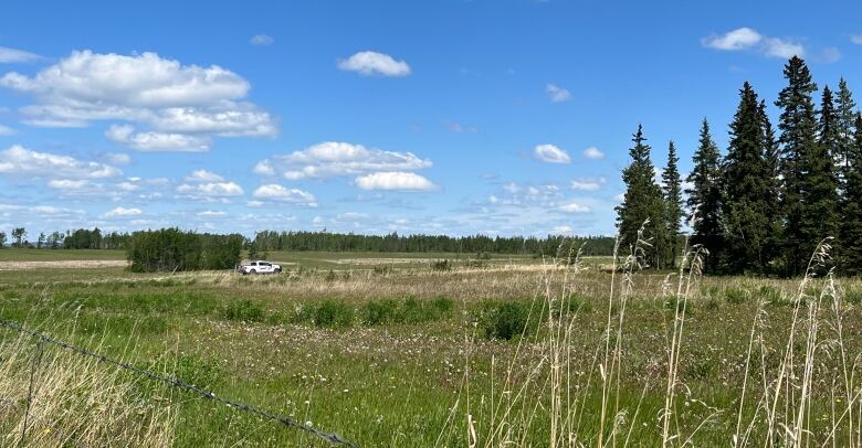 A police vehicle is parked in the distance in a field.