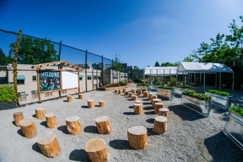 Several tree stumps are positioned as stools in a horseshoe shape around a chalkboard with raised garden beds in the background.