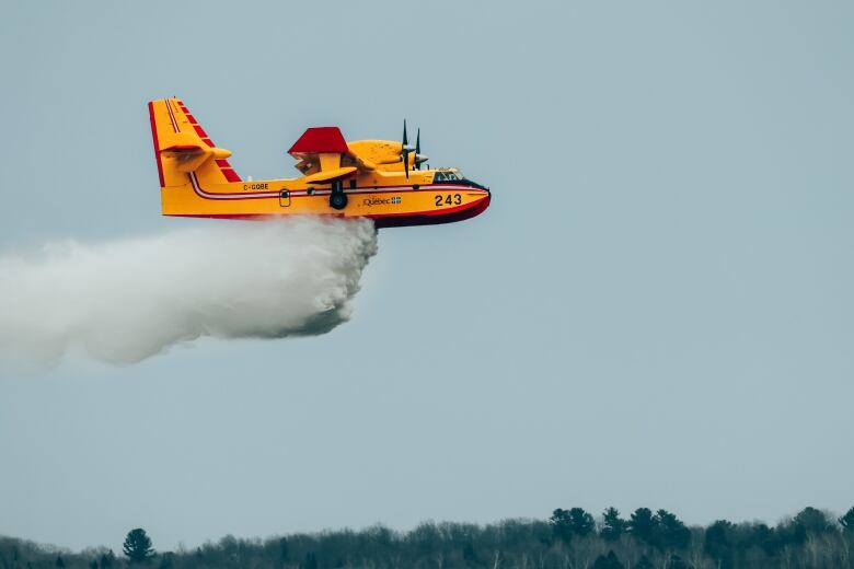 A plane drops water on a forest.