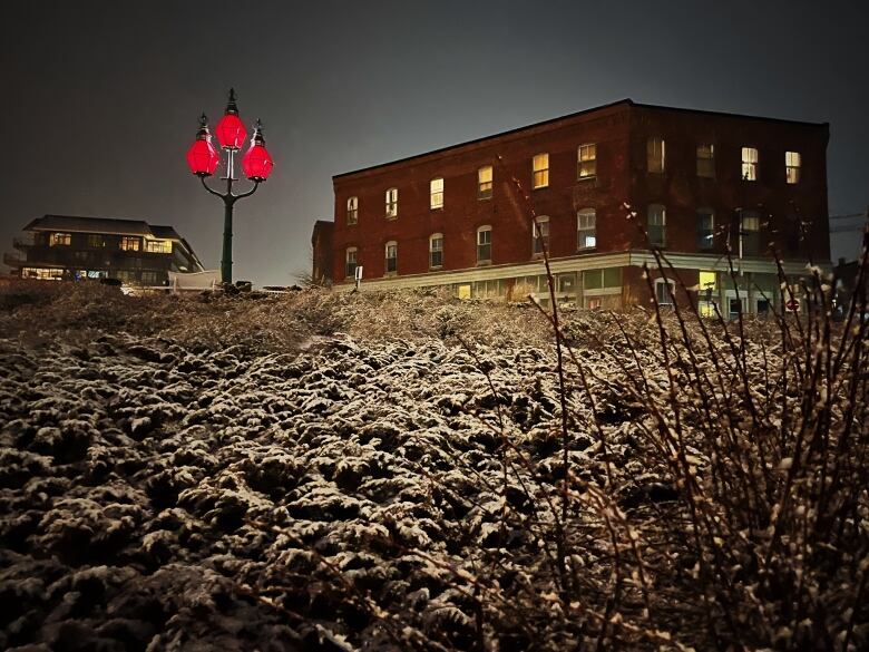 A wintertime scene showing the Three Sisters Lamps in Saint John covered in a light rime of frost. 