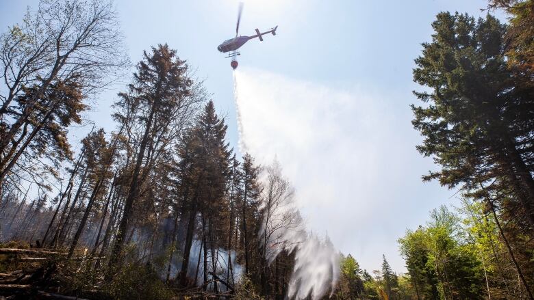 An aircraft sprays water on a forest.