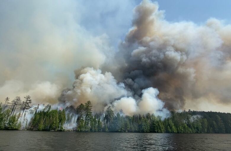 Smoke billowing in a forest alongside a lake. 