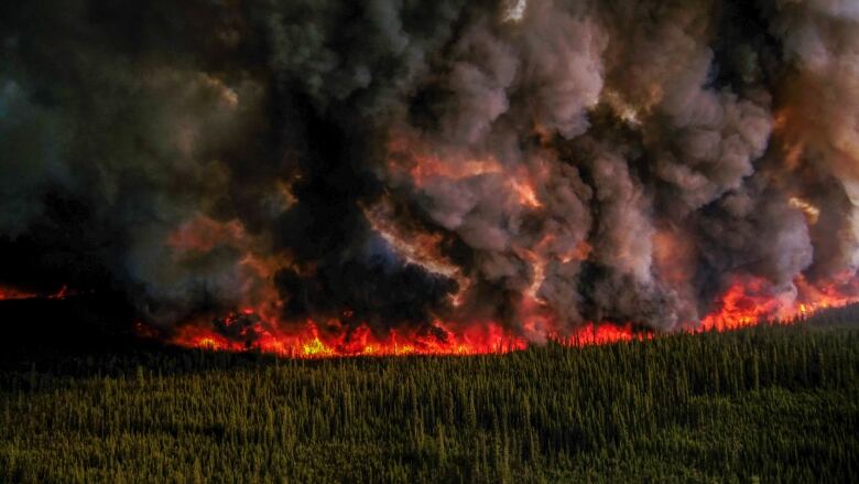 A large wildfire glows red along a straight line as it burns through a forest in this night shot.