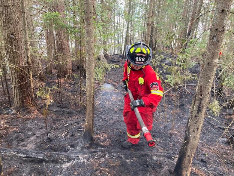 A firefighter carries equipment through a blackened forest.