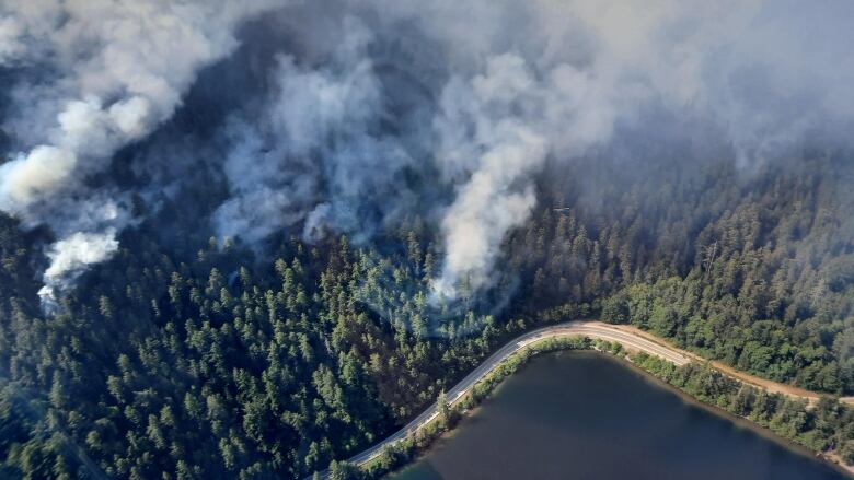 Plumes of smoke rise from a forest near a highway.