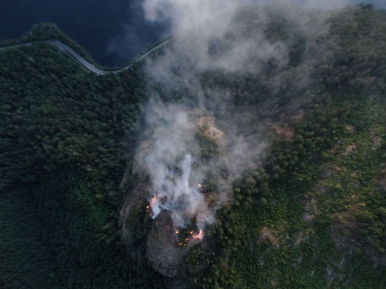 Plumes of smoke rise from a forest near a highway.