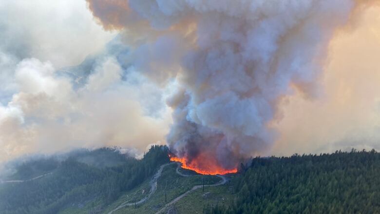 A large fire burns atop a forested hill.