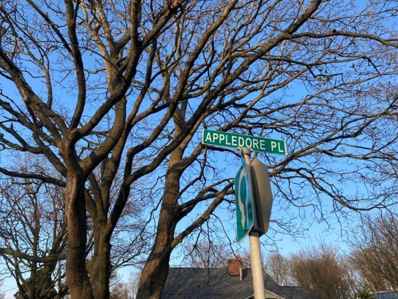 A street sign reads Appledore place, with a large bare maple tree in the background.