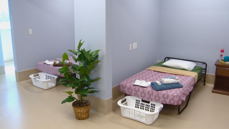 A cot in a blue room. The bedding is purple and there is a laundry basket on the ground. 