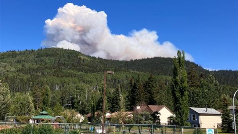 smoke billows from a forest fire on a hill above several houses in a town.