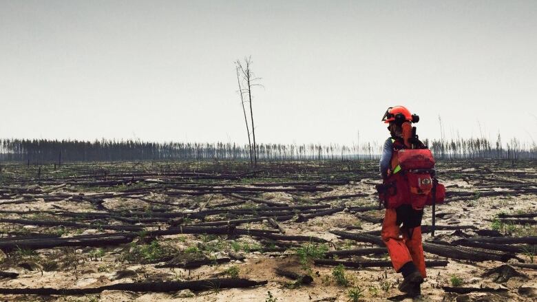 A team of researchers surveys a burned landscape in Wood Buffalo National Park in 2015, a year after the most major fire in a decade. 