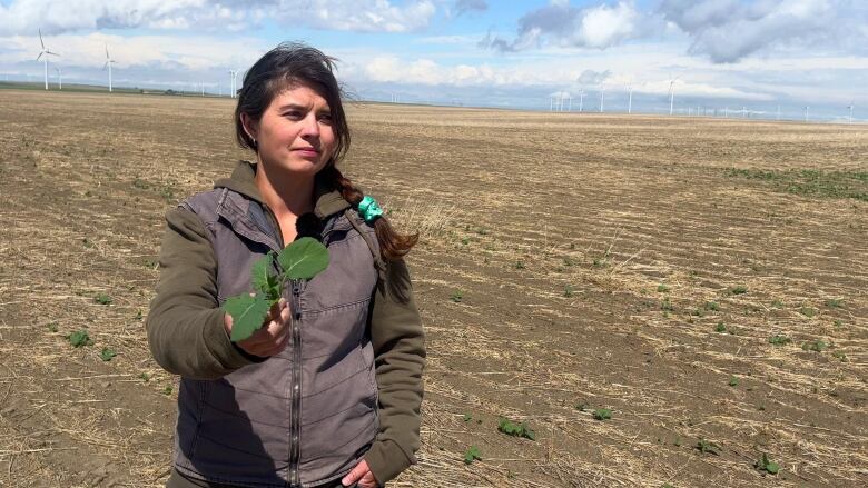 A woman stands in a field and holds up a plant.