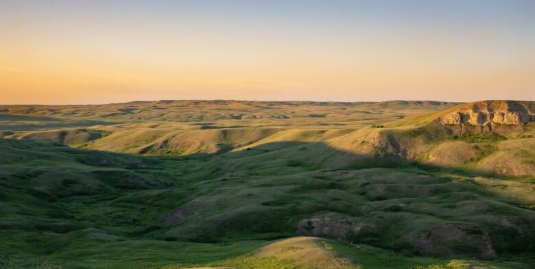 A picture of an tree-less grassland with small green rolling hills and the horizon beyond in evening glow.