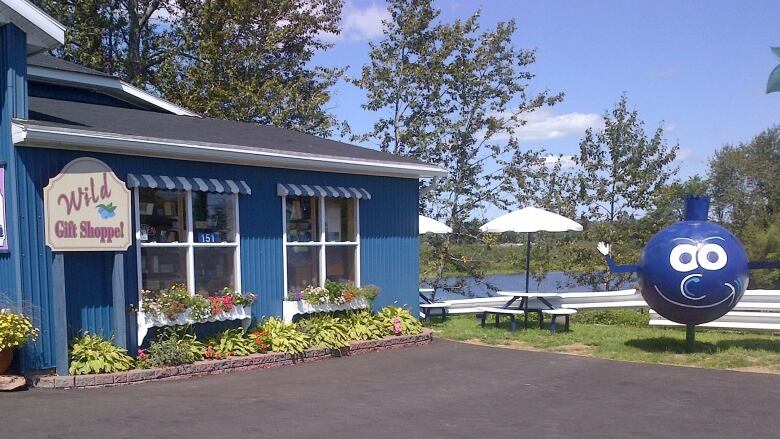 A blue building with a blueberry statue in the parking lot.