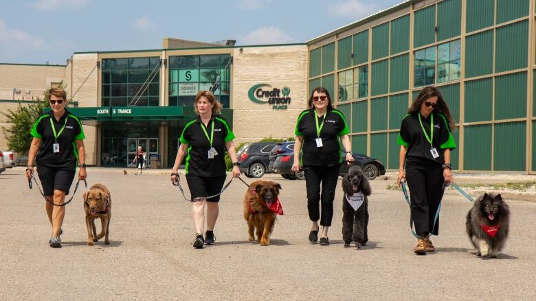 A group of women with therapy dogs walk in a line 