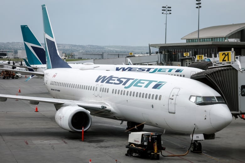 Airplanes parked at an airport.