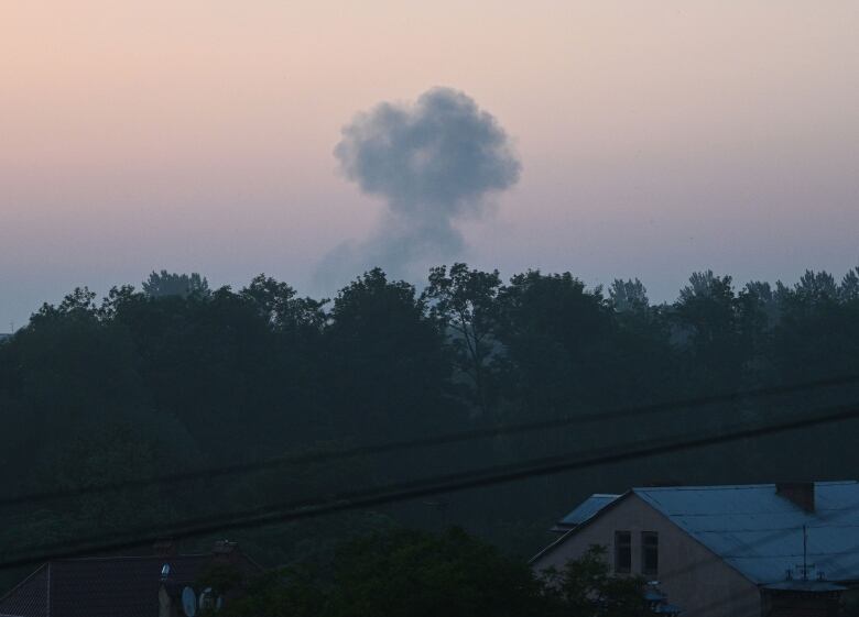 Smoke rises behind trees and a house.